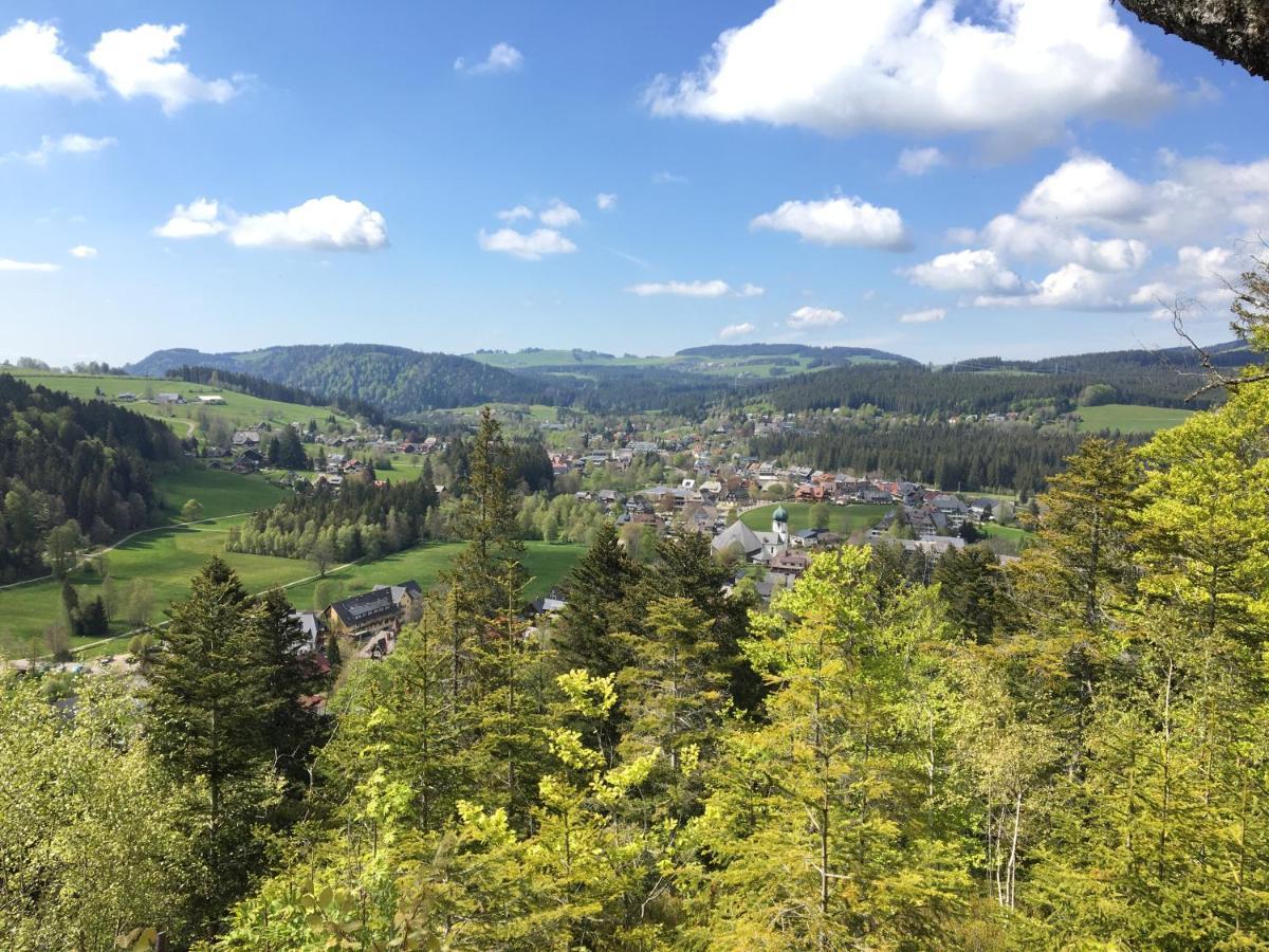 Haus Nagel Bed & Breakfast Hinterzarten Exterior photo